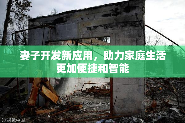 妻子开发新应用，助力家庭生活更加便捷和智能
