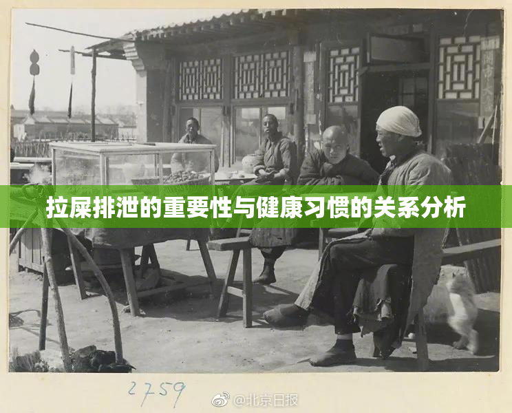 拉屎排泄的重要性与健康习惯的关系分析