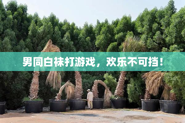 男同白袜打游戏，欢乐不可挡！