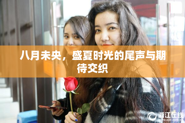 八月未央，盛夏时光的尾声与期待交织