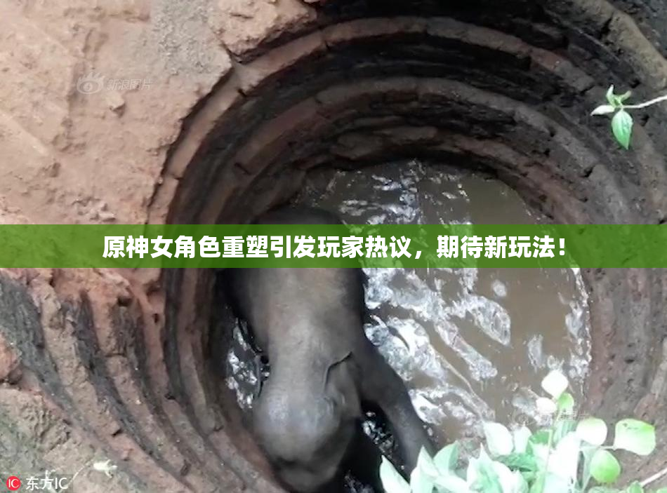 原神女角色重塑引发玩家热议，期待新玩法！