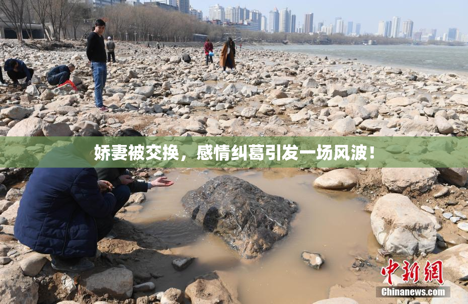 娇妻被交换，感情纠葛引发一场风波！