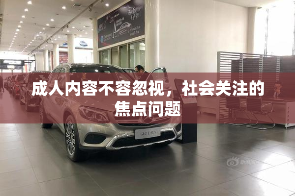 成人内容不容忽视，社会关注的焦点问题