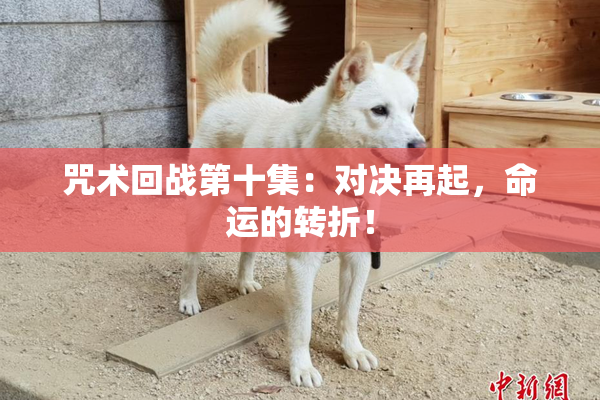 咒术回战第十集：对决再起，命运的转折！