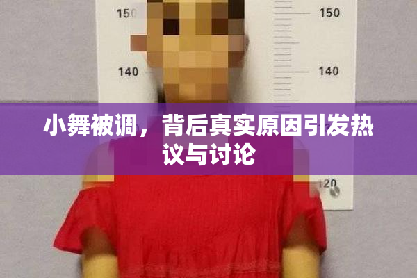 小舞被调，背后真实原因引发热议与讨论