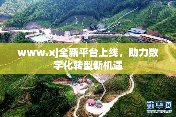 www.xj全新平台上线，助力数字化转型新机遇