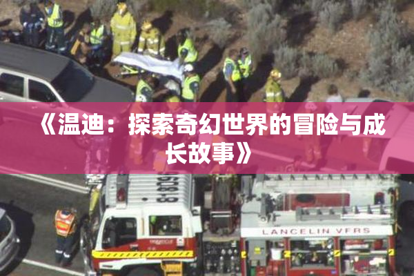 《温迪：探索奇幻世界的冒险与成长故事》