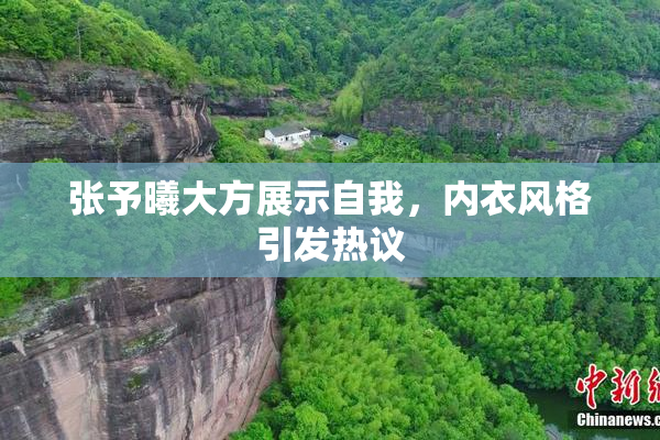 张予曦大方展示自我，内衣风格引发热议