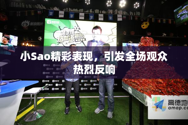 小Sao精彩表现，引发全场观众热烈反响