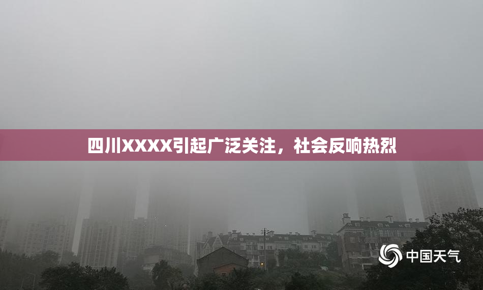 四川XXXX引起广泛关注，社会反响热烈