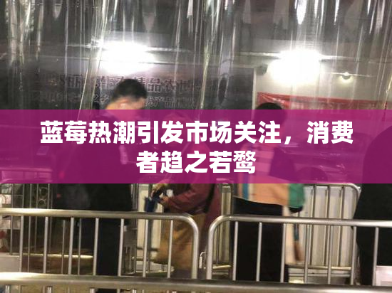 蓝莓热潮引发市场关注，消费者趋之若鹜