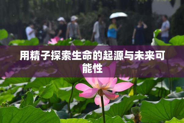 用精子探索生命的起源与未来可能性