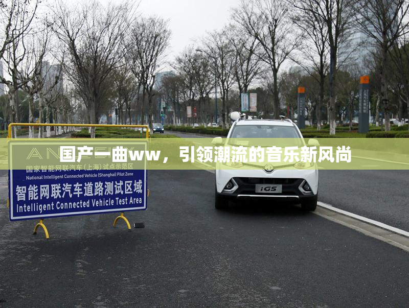 国产一曲ww，引领潮流的音乐新风尚