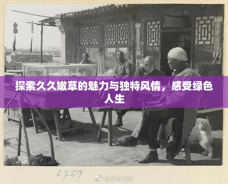 探索久久嫩草的魅力与独特风情，感受绿色人生
