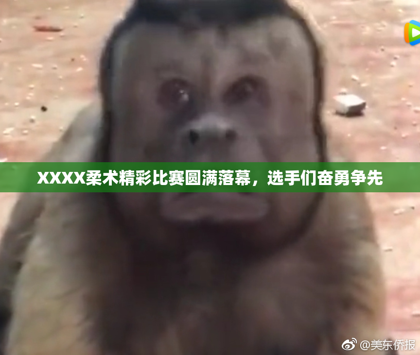 XXXX柔术精彩比赛圆满落幕，选手们奋勇争先