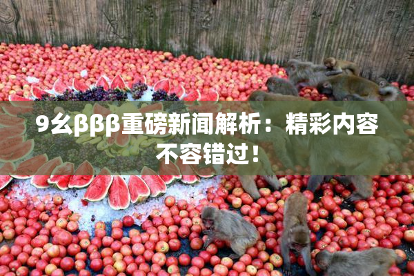 9幺βββ重磅新闻解析：精彩内容不容错过！