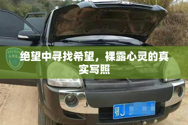 绝望中寻找希望，裸露心灵的真实写照