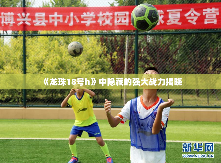 《龙珠18号h》中隐藏的强大战力揭晓