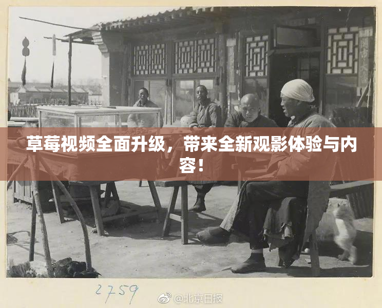 草莓视频全面升级，带来全新观影体验与内容！