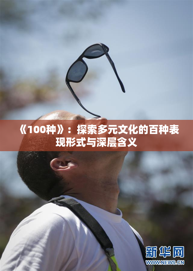 《100种》：探索多元文化的百种表现形式与深层含义