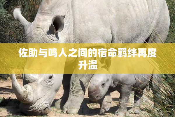 佐助与鸣人之间的宿命羁绊再度升温
