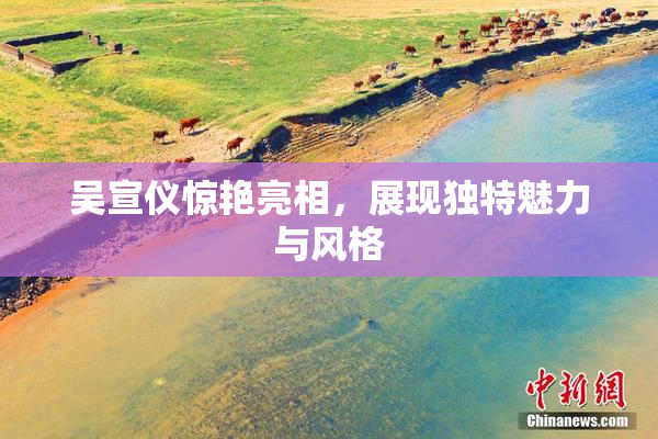 吴宣仪惊艳亮相，展现独特魅力与风格