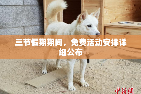 三节假期期间，免费活动安排详细公布