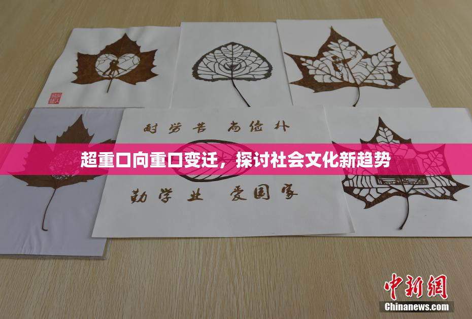 超重口向重口变迁，探讨社会文化新趋势