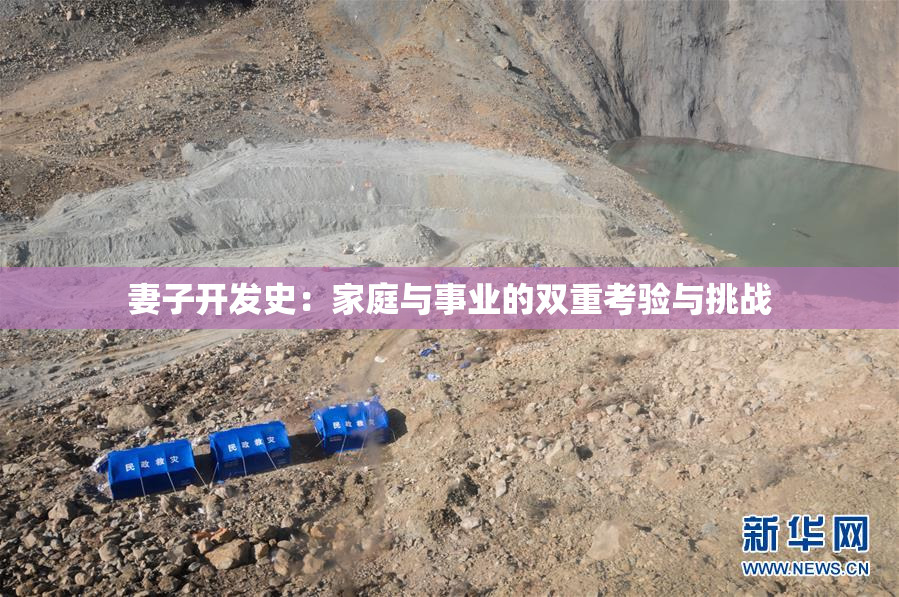妻子开发史：家庭与事业的双重考验与挑战