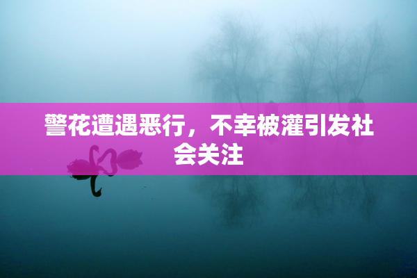 警花遭遇恶行，不幸被灌引发社会关注