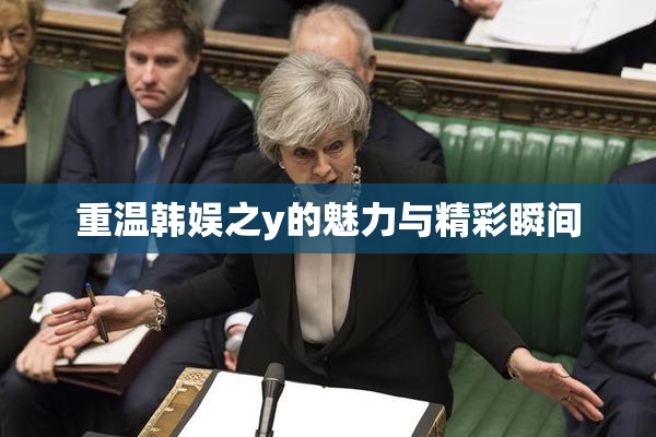 重温韩娱之y的魅力与精彩瞬间