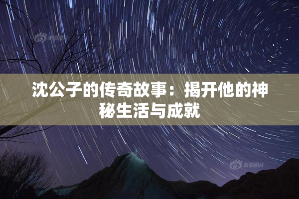 沈公子的传奇故事：揭开他的神秘生活与成就
