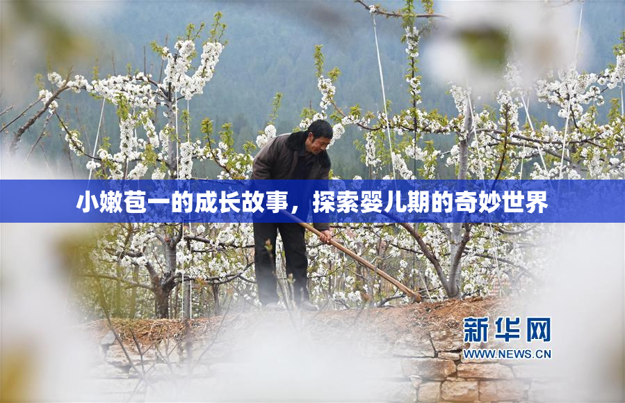 小嫩苞一的成长故事，探索婴儿期的奇妙世界