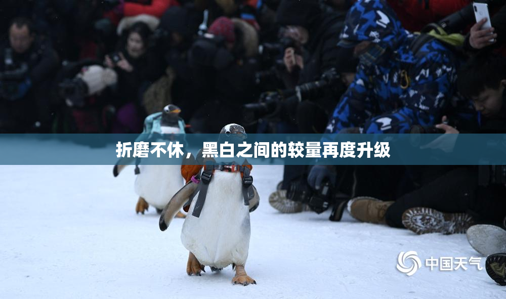 折磨不休，黑白之间的较量再度升级