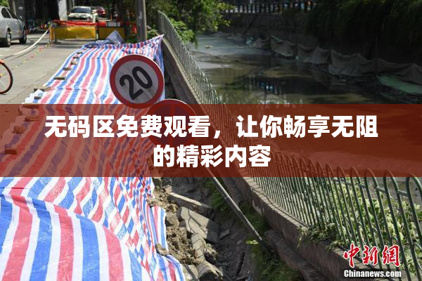 无码区免费观看，让你畅享无阻的精彩内容