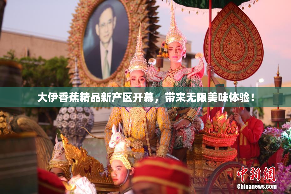 大伊香蕉精品新产区开幕，带来无限美味体验！