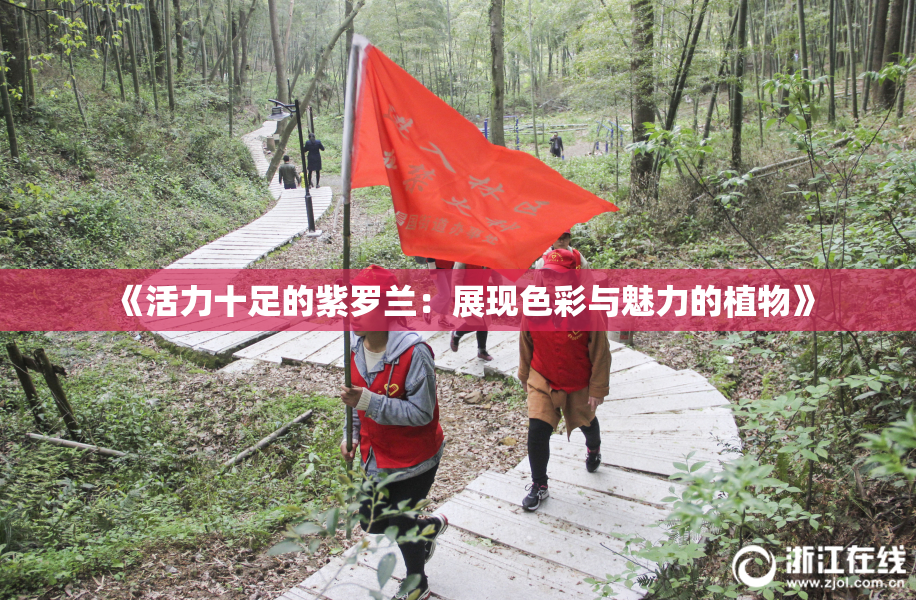 《活力十足的紫罗兰：展现色彩与魅力的植物》