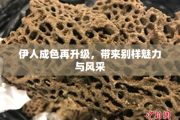 伊人成色再升级，带来别样魅力与风采