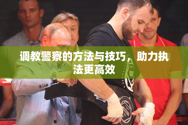 调教警察的方法与技巧，助力执法更高效
