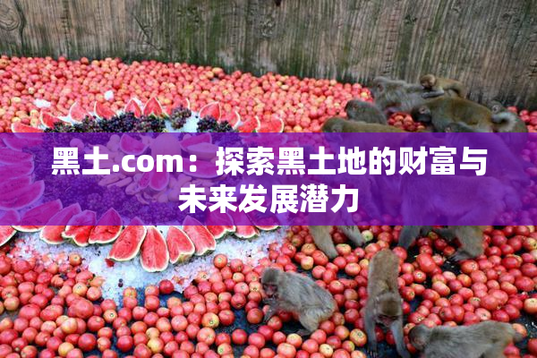 黑土.com：探索黑土地的财富与未来发展潜力