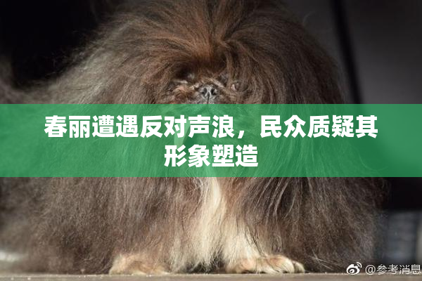春丽遭遇反对声浪，民众质疑其形象塑造