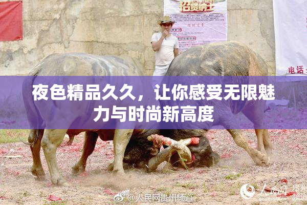 夜色精品久久，让你感受无限魅力与时尚新高度