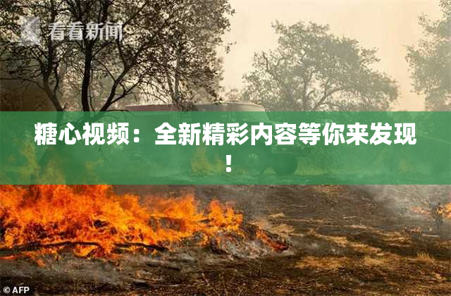 糖心视频：全新精彩内容等你来发现！
