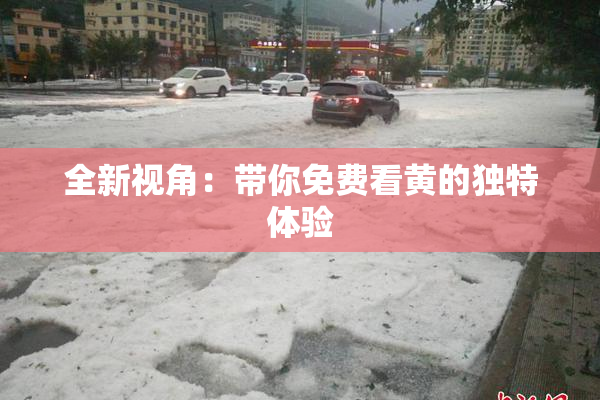 全新视角：带你免费看黄的独特体验