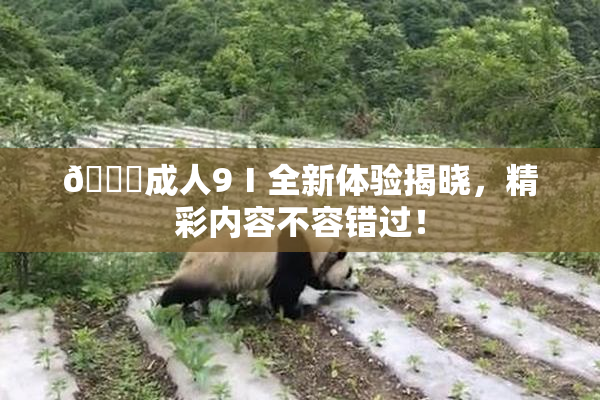 🔞成人9Ⅰ全新体验揭晓，精彩内容不容错过！