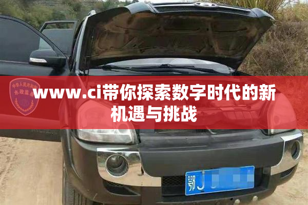 www.ci带你探索数字时代的新机遇与挑战