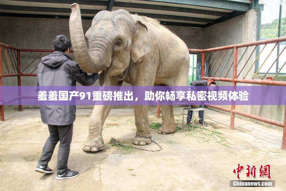 羞羞国产91重磅推出，助你畅享私密视频体验