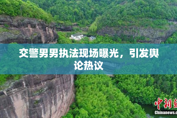 交警男男执法现场曝光，引发舆论热议