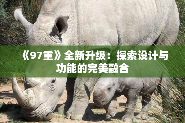《97重》全新升级：探索设计与功能的完美融合