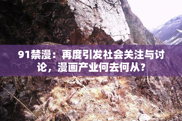 91禁漫：再度引发社会关注与讨论，漫画产业何去何从？